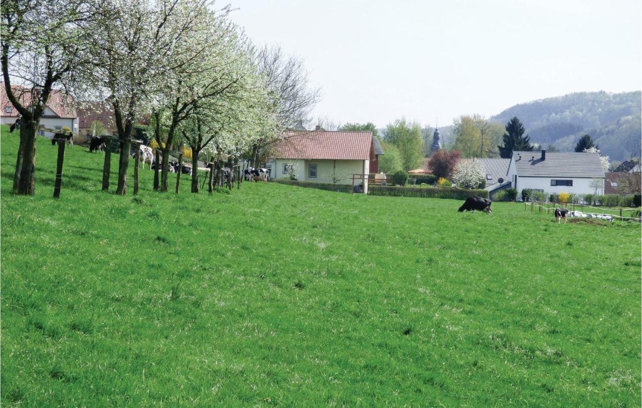 Amazing Home In Koerperich-Obersgegen With Sauna מראה חיצוני תמונה