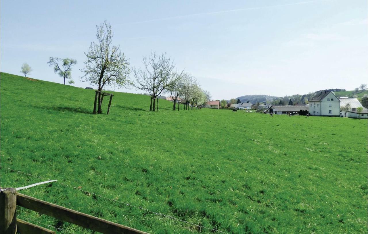 Amazing Home In Koerperich-Obersgegen With Sauna מראה חיצוני תמונה